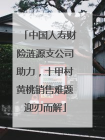 中国人寿财险涟源支公司助力，十甲村黄桃销售难题迎刃而解