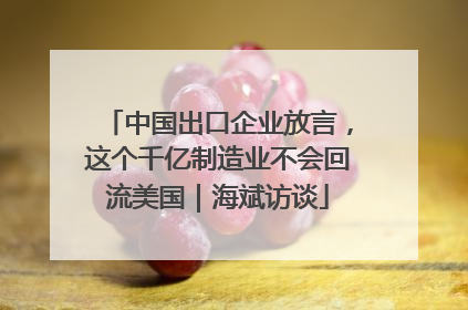 中国出口企业放言，这个千亿制造业不会回流美国｜海斌访谈