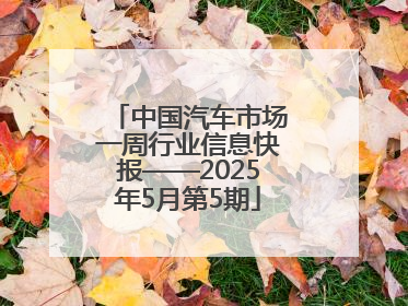 中国汽车市场一周行业信息快报——2025年5月第5期