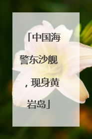 中国海警东沙舰，现身黄岩岛