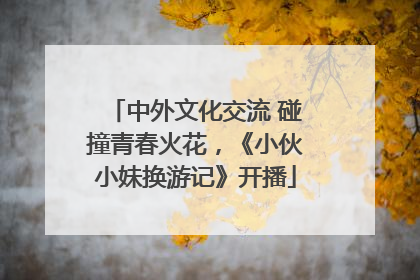 中外文化交流 碰撞青春火花，《小伙小妹换游记》开播