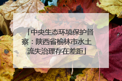 中央生态环境保护督察：陕西省榆林市水土流失治理存在差距