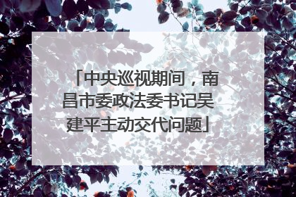 中央巡视期间，南昌市委政法委书记吴建平主动交代问题