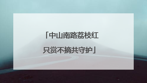中山南路荔枝红 只赏不摘共守护