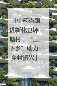 中药香飘进新化县坪塘村，“三下乡”助力乡村振兴