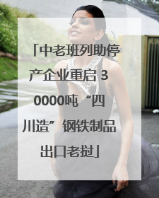 中老班列助停产企业重启 30000吨“四川造”钢铁制品出口老挝