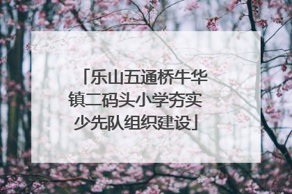 乐山五通桥牛华镇二码头小学夯实少先队组织建设