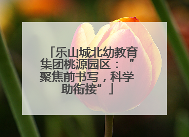 乐山城北幼教育集团桃源园区：“聚焦前书写，科学助衔接”