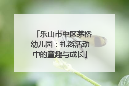 乐山市中区茅桥幼儿园：扎辫活动中的童趣与成长