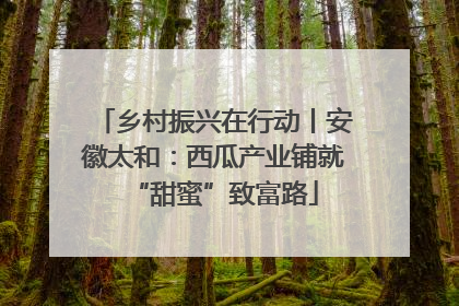 乡村振兴在行动丨安徽太和：西瓜产业铺就“甜蜜”致富路