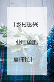 乡村振兴｜业旺鱼肥夏捕忙