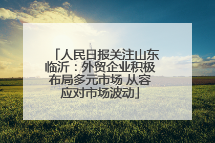 人民日报关注山东临沂：外贸企业积极布局多元市场 从容应对市场波动