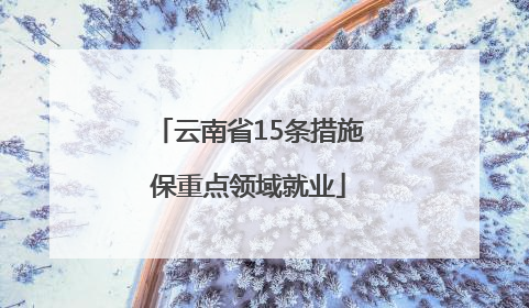 云南省15条措施保重点领域就业