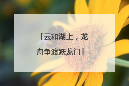 云和湖上，龙舟争渡跃龙门