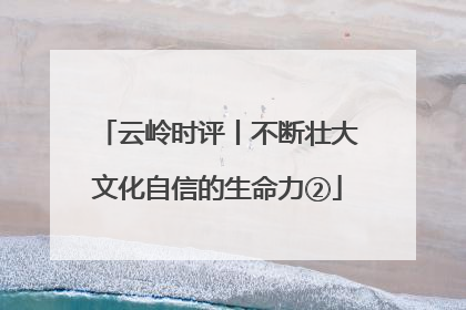 云岭时评丨不断壮大文化自信的生命力②