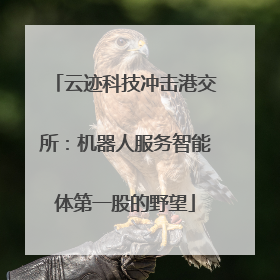 云迹科技冲击港交所：机器人服务智能体第一股的野望