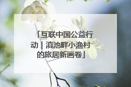 互联中国公益行动｜滇池畔小渔村的旅居新画卷
