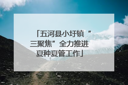 五河县小圩镇“三聚焦”全力推进夏种夏管工作