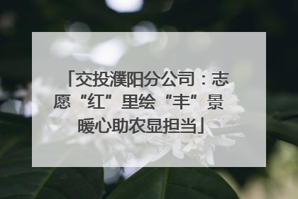 交投濮阳分公司：志愿“红”里绘“丰”景 暖心助农显担当