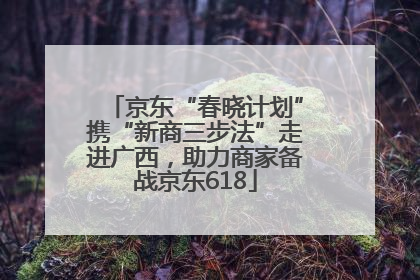 京东“春晓计划”携“新商三步法”走进广西，助力商家备战京东618