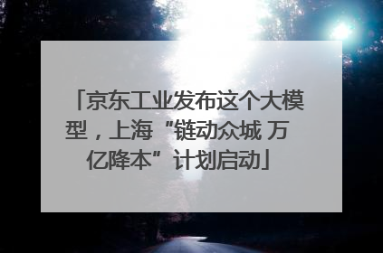京东工业发布这个大模型，上海“链动众城 万亿降本”计划启动