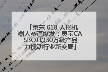 京东 618 人形机器人赛道爆发：灵宝CASBOT以30万级产品力搅动行业新变局