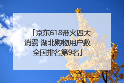 京东618带火四大消费 湖北购物用户数全国排名第9名