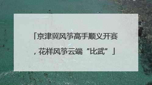 京津冀风筝高手顺义开赛，花样风筝云端“比武”