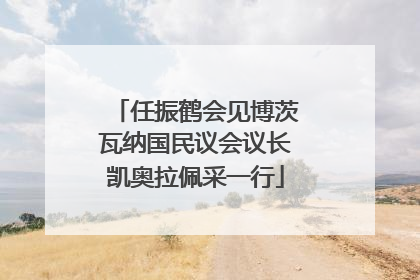 任振鹤会见博茨瓦纳国民议会议长凯奥拉佩采一行