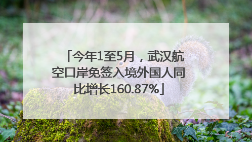 今年1至5月，武汉航空口岸免签入境外国人同比增长160.87%