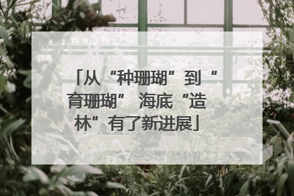 从“种珊瑚”到“育珊瑚” 海底“造林”有了新进展