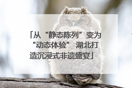 从“静态陈列”变为“动态体验” 湖北打造沉浸式非遗盛宴