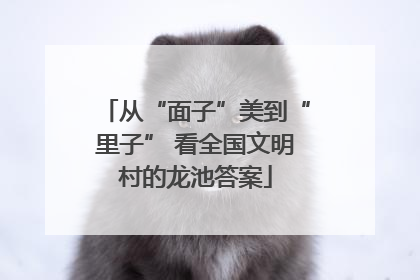从“面子”美到“里子” 看全国文明村的龙池答案