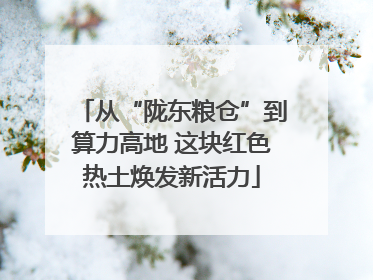 从“陇东粮仓”到算力高地 这块红色热土焕发新活力