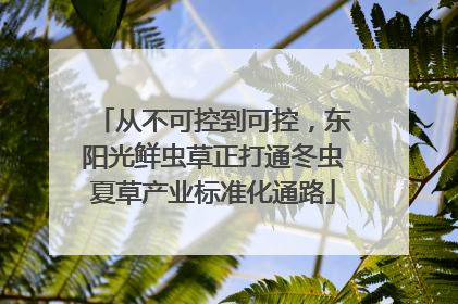 从不可控到可控，东阳光鲜虫草正打通冬虫夏草产业标准化通路