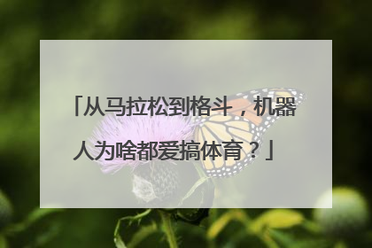 从马拉松到格斗，机器人为啥都爱搞体育？