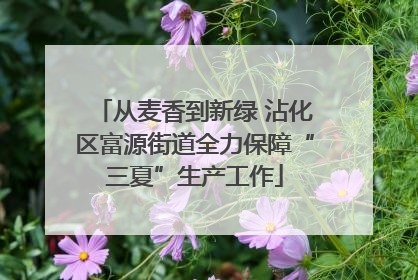 从麦香到新绿 沾化区富源街道全力保障“三夏”生产工作