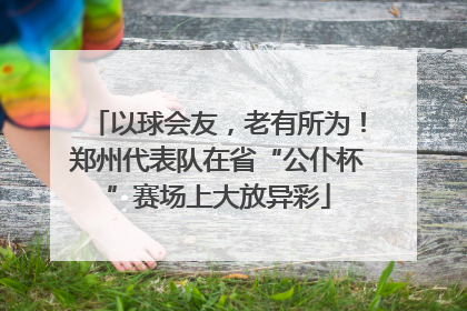以球会友，老有所为！郑州代表队在省“公仆杯”赛场上大放异彩