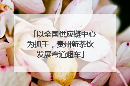 以全国供应链中心为抓手，贵州新茶饮发展弯道超车