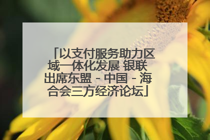 以支付服务助力区域一体化发展 银联出席东盟－中国－海合会三方经济论坛