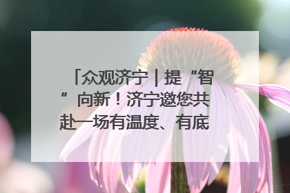 众观济宁｜提“智”向新！济宁邀您共赴一场有温度、有底气的“智造”之约