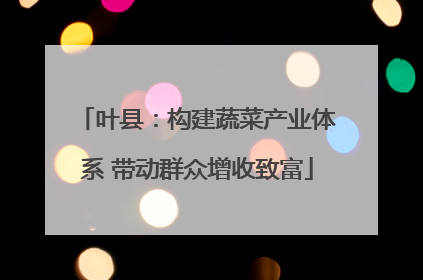 叶县：构建蔬菜产业体系 带动群众增收致富