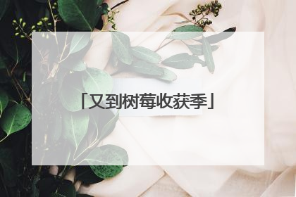 又到树莓收获季