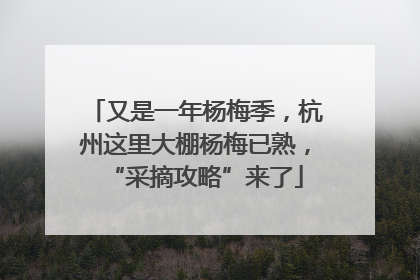 又是一年杨梅季，杭州这里大棚杨梅已熟，“采摘攻略”来了
