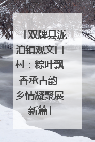 双牌县泷泊镇观文口村：粽叶飘香承古韵 乡情凝聚展新篇
