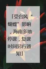 受台风“蝴蝶”影响，海南多地停课，复课时间另行通知