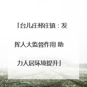 台儿庄邳庄镇：发挥人大监督作用 助力人居环境提升
