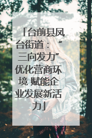 台前县凤台街道：“三向发力”优化营商环境 赋能企业发展新活力