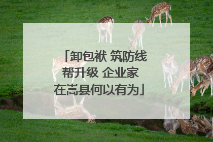 卸包袱 筑防线 帮升级 企业家在嵩县何以有为
