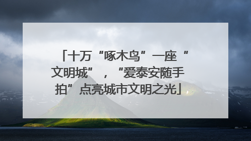十万“啄木鸟”一座“文明城”，“爱泰安随手拍”点亮城市文明之光